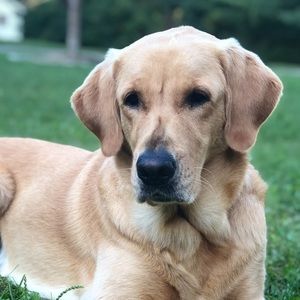 Meet your Posher, Jane